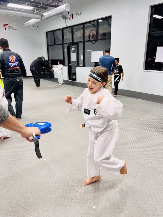 Master Lee's Taekwondo - Omaha Picture 3