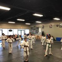 American School of Karate & Judo on Industrial ico