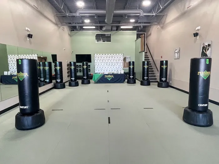 Premier Martial Arts Omaha Picture 2