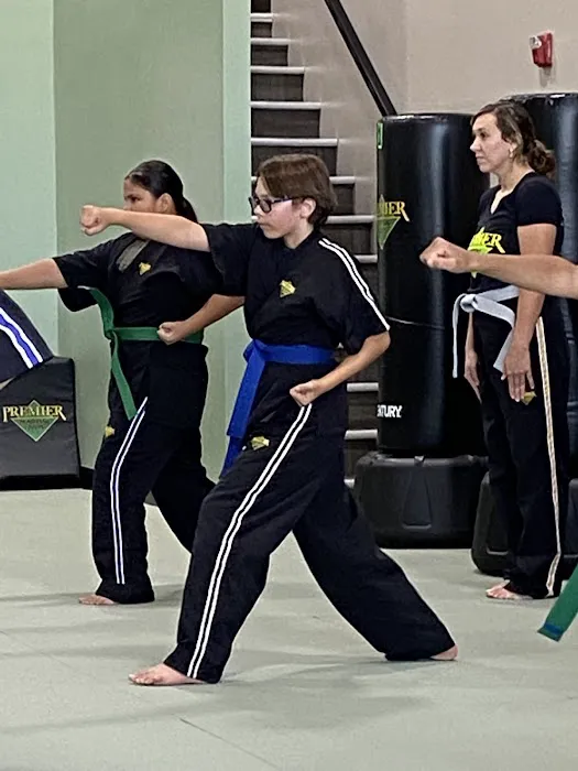 Premier Martial Arts Omaha Picture 5