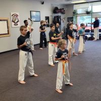 Steiner Academy Of Martial Arts ico