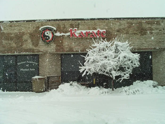 Steiner Academy Of Martial Arts Picture 8