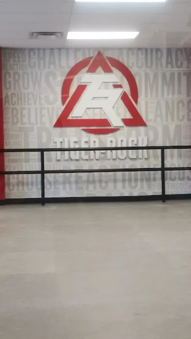 Tiger Rock Academy Picture 4