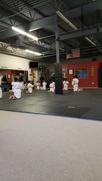 American School of Karate & Judo Picture 5
