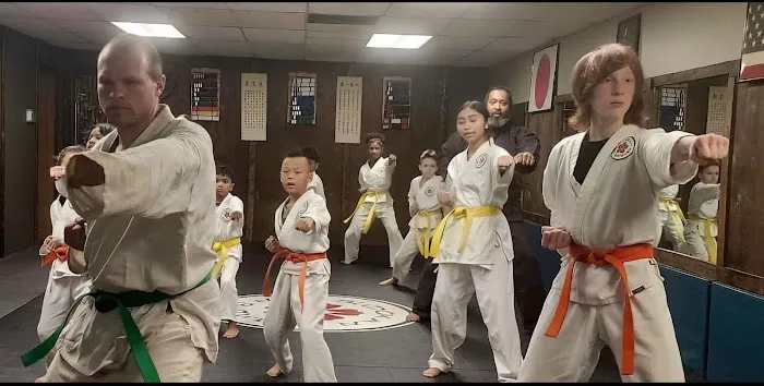 Master Bridges Martial Arts Picture 3