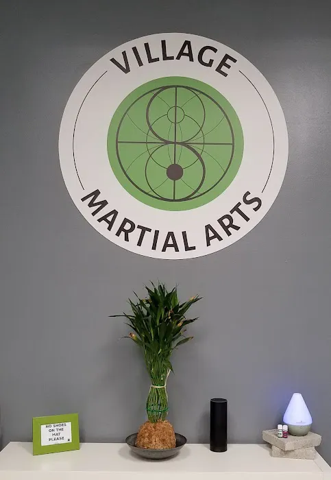Village Martial Arts Picture 2