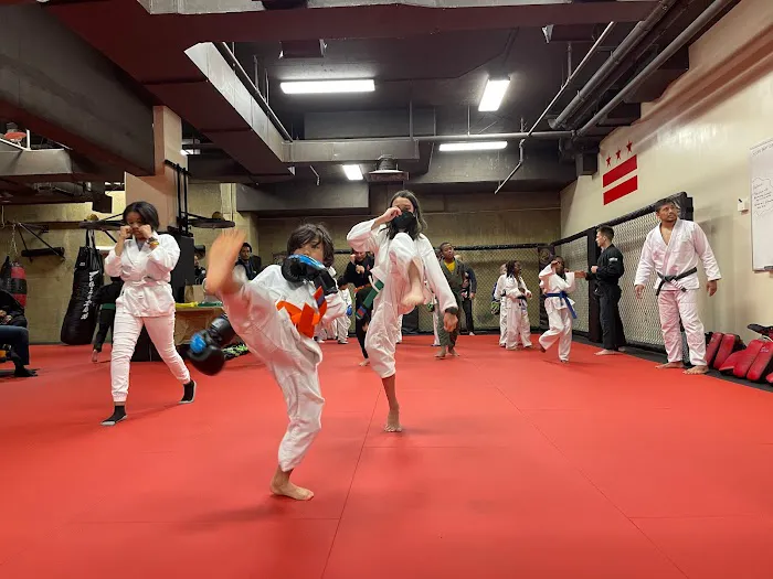 BETA Academy | Brazilian Jiu-Jitsu, Muay Thai & MMA Picture 10