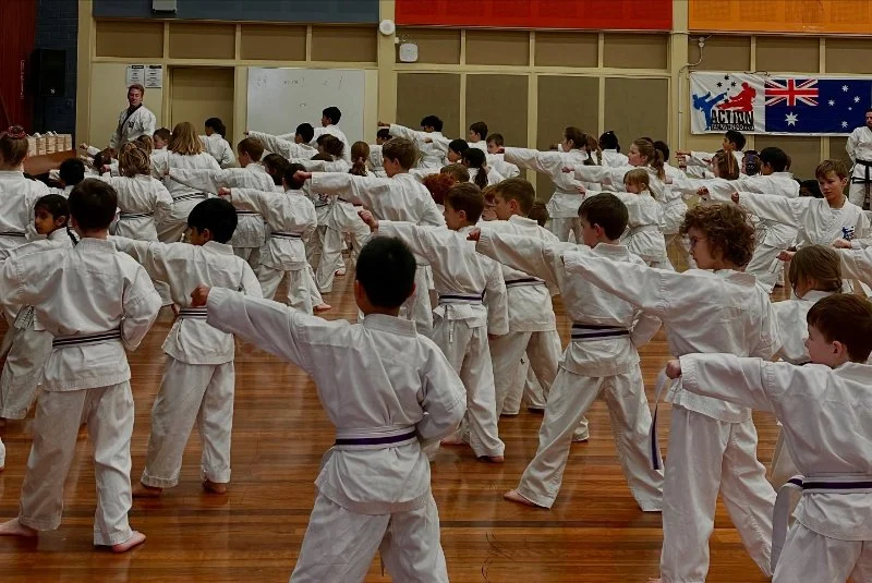 The History of the Tae Kwon Do Peace Corps