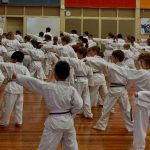 The History of the Tae Kwon Do Peace Corps
