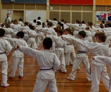 The History of the Tae Kwon Do Peace Corps