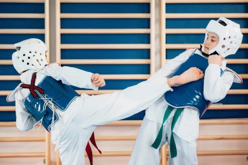 The Importance of Sparring Partners in Tae Kwon Do Training