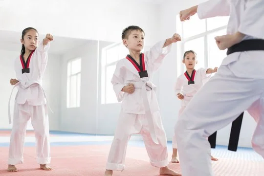 The Connection Between Tae Kwon Do and Academic Performance in Children