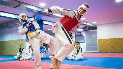 The Importance of Zinc for Recovery in Tae Kwon Do Training