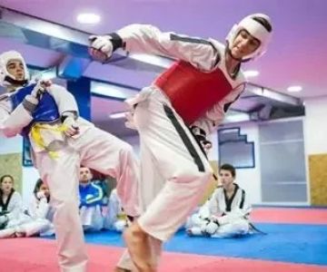The Importance of Zinc for Recovery in Tae Kwon Do Training