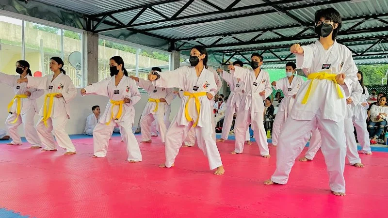 How to Organize a Tae Kwon Do Seminar at Your School