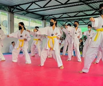 How to Organize a Tae Kwon Do Seminar at Your School