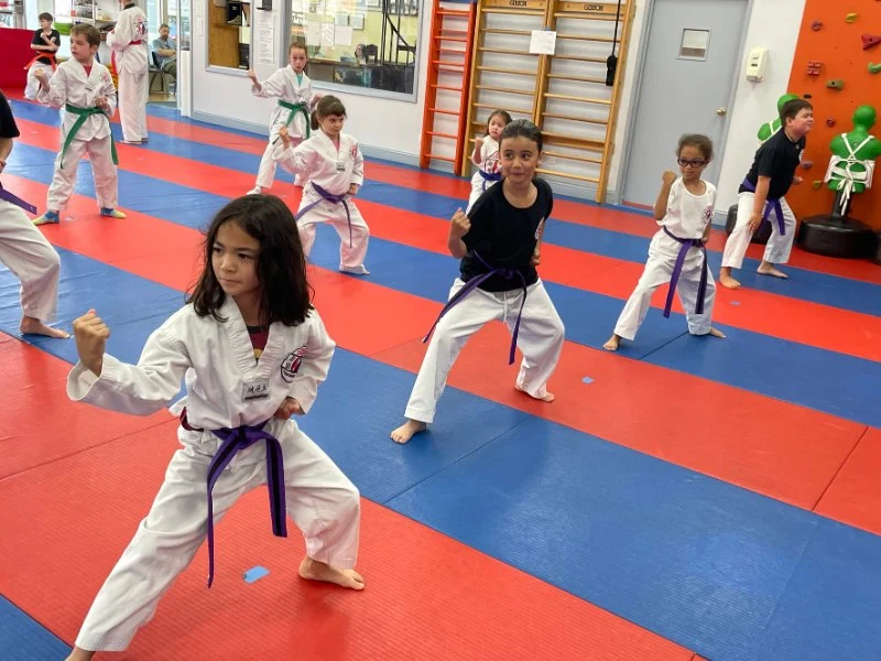 The Pros and Cons of Online Tae Kwon Do Classes