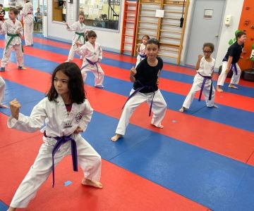 The Pros and Cons of Online Tae Kwon Do Classes