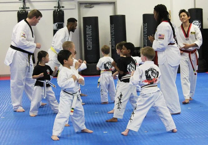 Tae Kwon Do Summer Camps: Are They Worth It for Your Child?