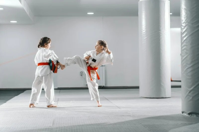 Tae Kwon Do and the Development of Ethical Consumerism: Building Discipline and Responsibility