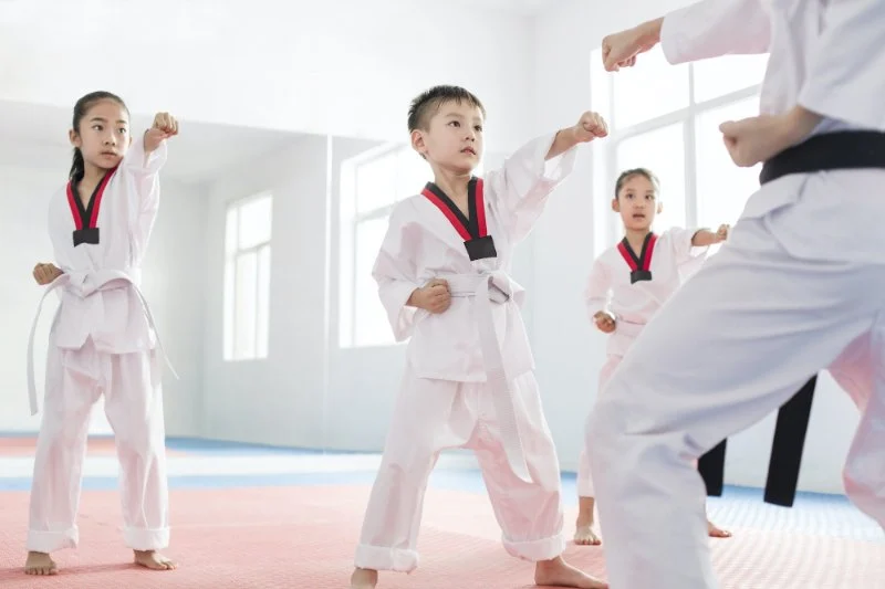 Tae Kwon Do and Its Impact on Reducing Aggression in Youth