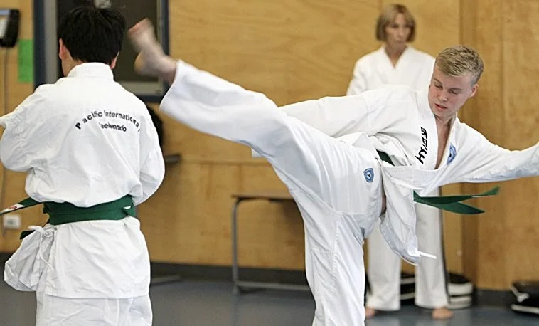 Tae Kwon Do and the Development of a Strong Work Ethic: Building Discipline and Resilience