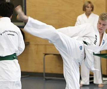 Tae Kwon Do and the Development of a Strong Work Ethic: Building Discipline and Resilience