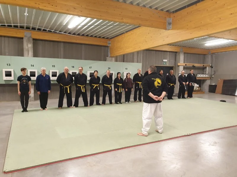 Tae Kwon Do for Law Enforcement Officers: Practical Applications