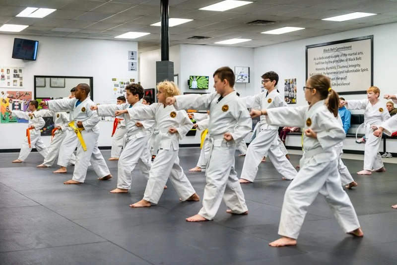 The Role of Tae Kwon Do in Rehabilitation Programs for Youth