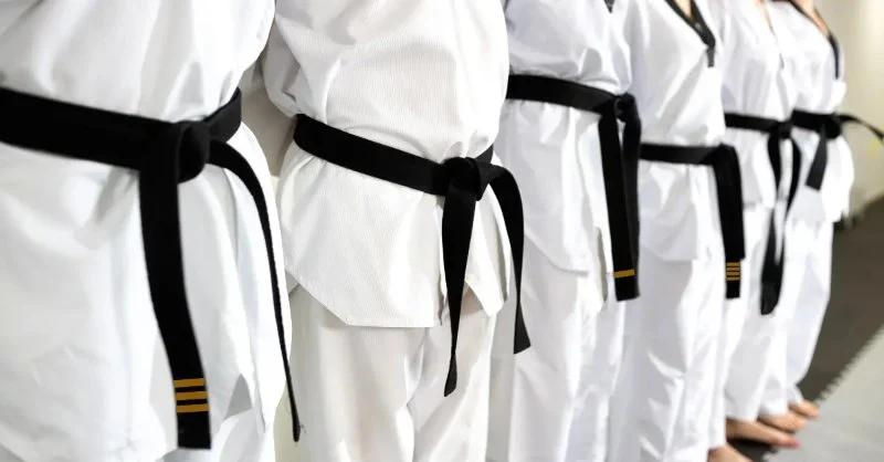 The Evolution of the Tae Kwon Do Belt System Over Time