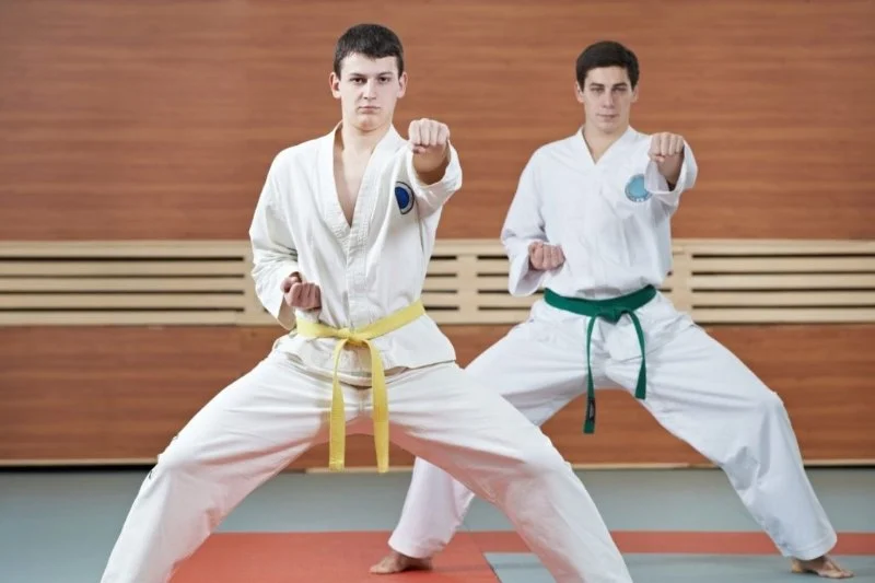 Tae Kwon Do vs. Karate: Key Differences and Which One Is Right for You