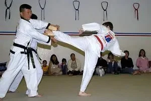 How to Execute a Step-Side Kick for Evasion and Counter in Martial Arts