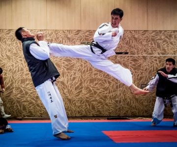 Famous Tae Kwon Do Demonstration Teams Around the World
