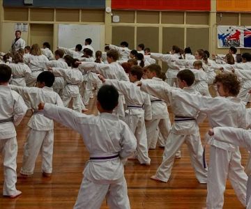 The History of Tae Kwon Do Patterns: Pyongwon and Sipjin
