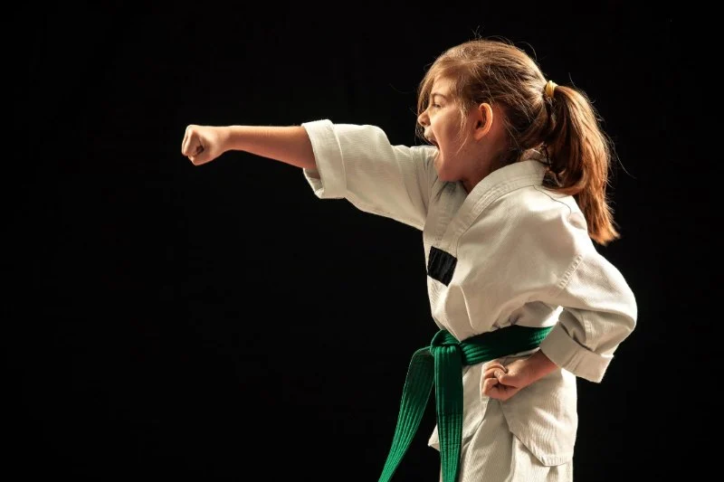 The Future of Virtual Reality Tae Kwon Do Training Simulations