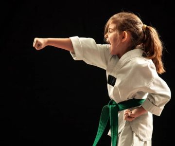 The Future of Virtual Reality Tae Kwon Do Training Simulations