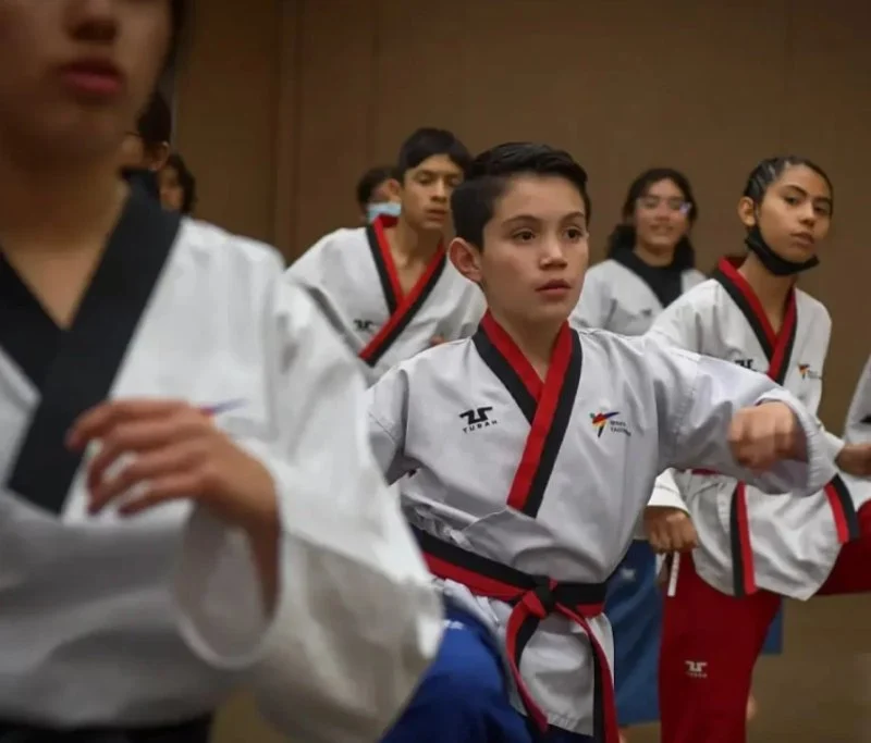 The Legacy of Tae Kwon Do in the Pan American Games - A History of Impact and Achievement