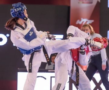 The History of the Tae Kwon Do World Grand Prix Series - An In-Depth Look