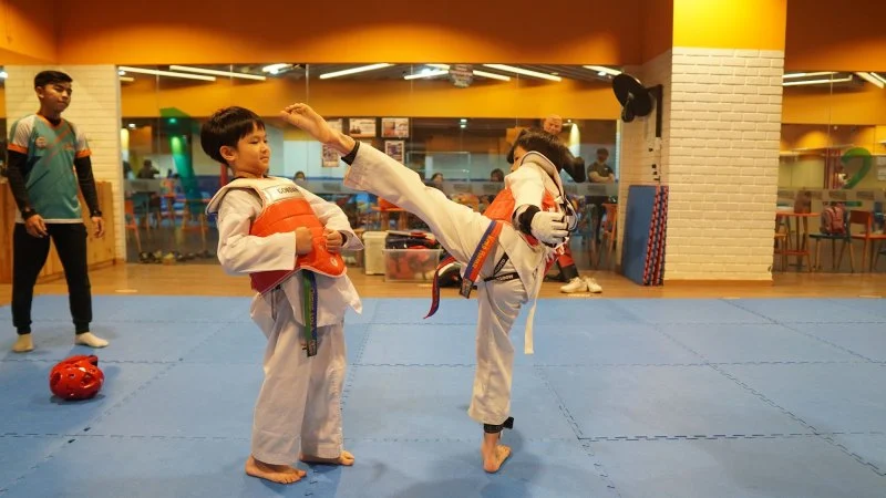 How to Perform a Push Kick (Me Chagi) for Effective Distance Management in Tae Kwon Do