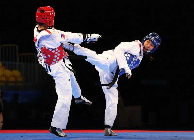 Tae Kwon Do Legends: Stories of Great Masters and Competitors