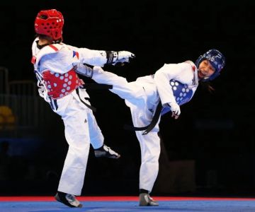 Tae Kwon Do Legends: Stories of Great Masters and Competitors