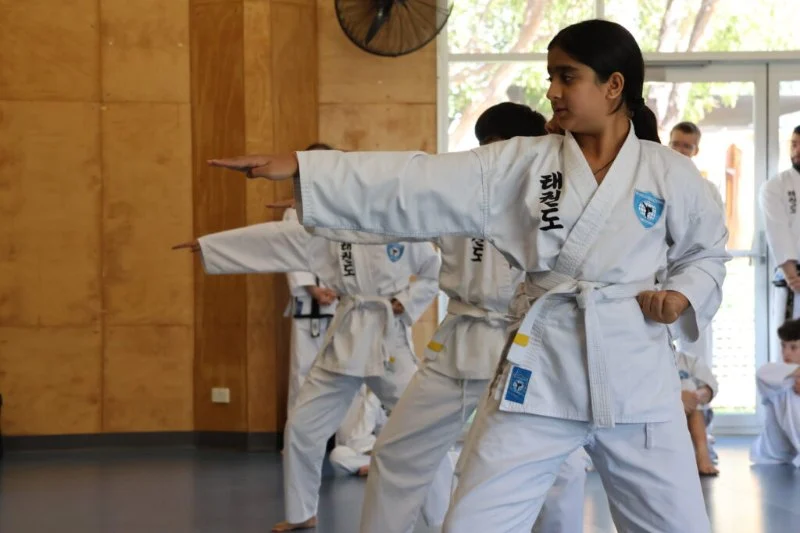 Mastering the Walking Stance (Gunnun Sogi) with Proper Alignment in Taekwondo