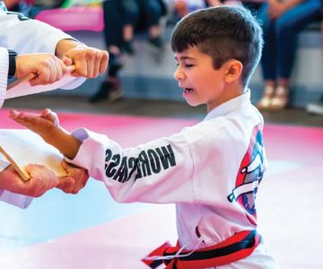 How to Make a Tae Kwon Do Training Obstacle Course for Kids | Jeuns TKD Hub