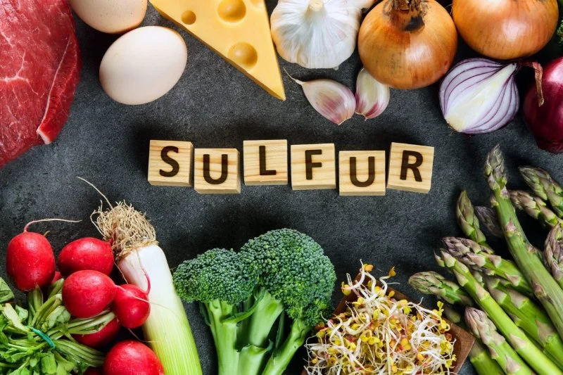 The Role of Sulfur for Protein Structure and Joint Health