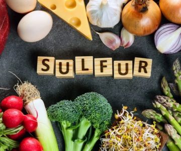 The Role of Sulfur for Protein Structure and Joint Health