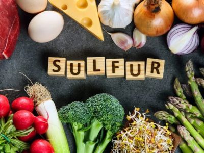 The Role of Sulfur for Protein Structure and Joint Health