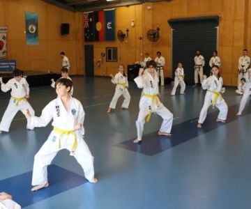 How to Master the Fundamentals of Tae Kwon Do Before Advancing
