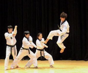 The Best Resources for Learning Tae Kwon Do Techniques and Forms