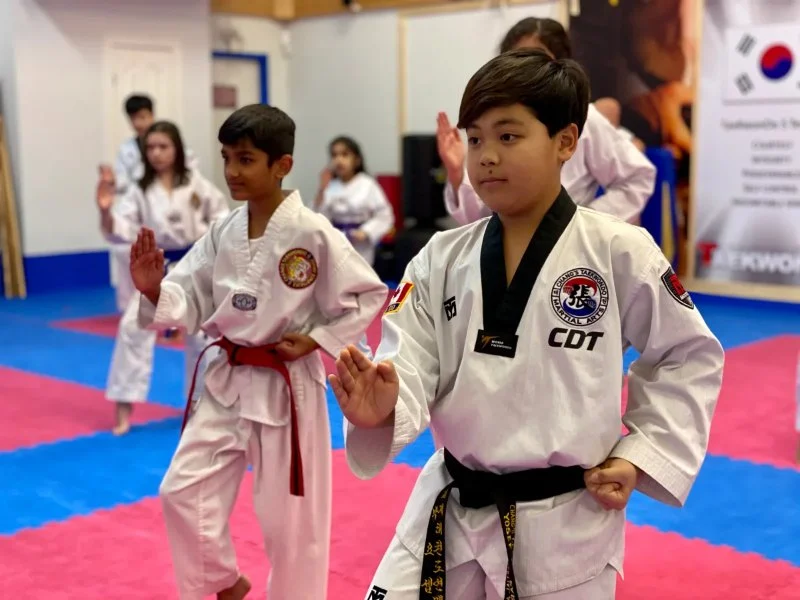 The Role of Forms (Poomsae) in Tae Kwon Do and Their Importance