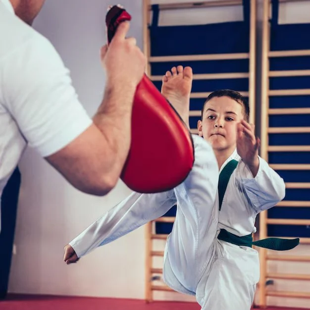How to Make Tae Kwon Do Training a Part of Your Daily Routine